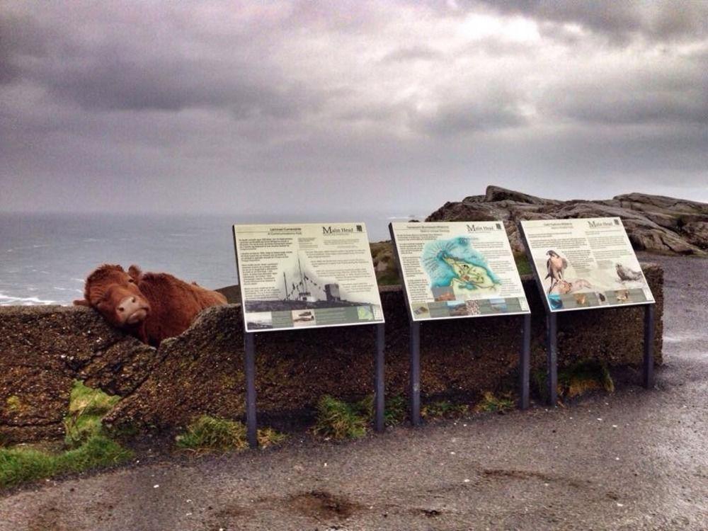 The Strand Hotel Ballyliffin Zewnętrze zdjęcie